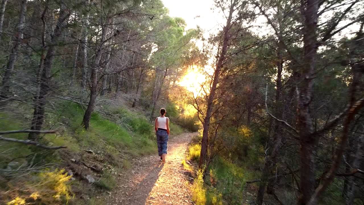 mujer caminando al aire libre en la naturaleza caminando, paseando, vagando por el campo, bosque o bosque, hermosa niña, hábitos saludables de invierno
