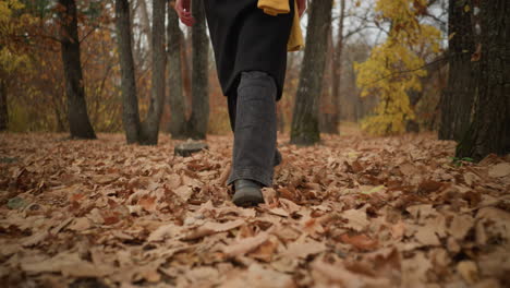 lower angle view of a person walking through a forest with dry foliage, wearing a canvas jacket and black jeans, capturing the essence of autumn