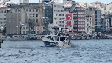 boat in istanbul harbor with gulls