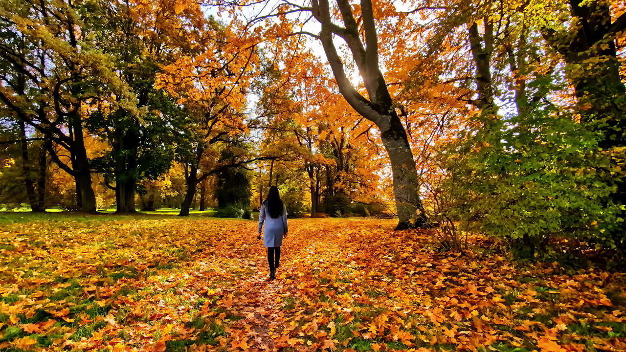 Donna che cammina in uno splendido paesaggio autunnale con alberi colorati a Lielvarde, Lettonia - Campo lungo