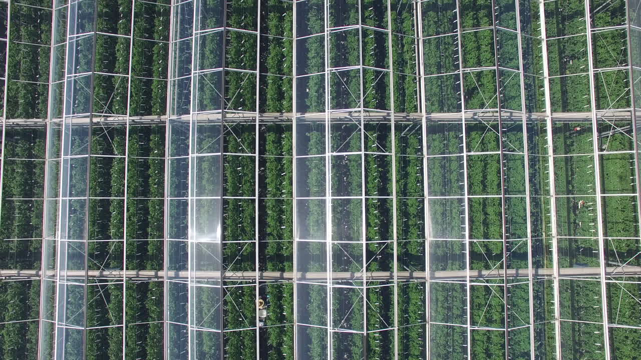 유기농 식물을 위한 온실