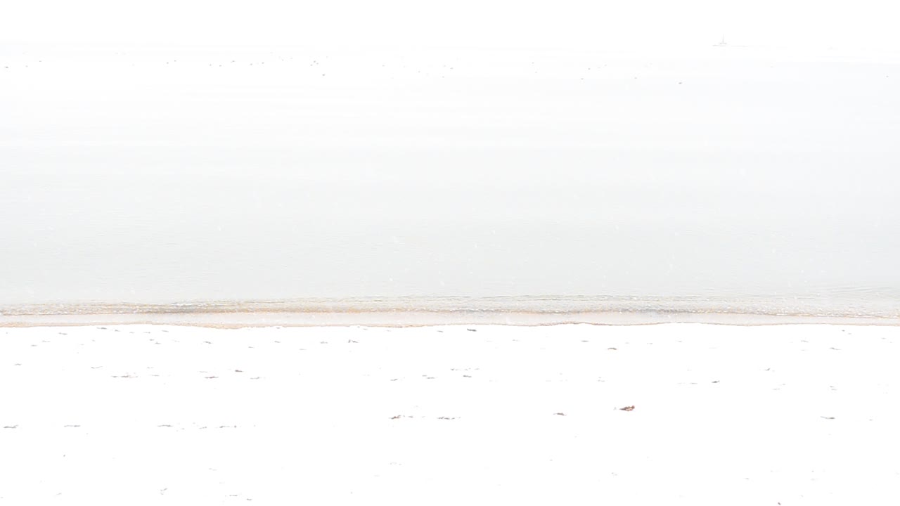 Winter and sea. The sea in a white background