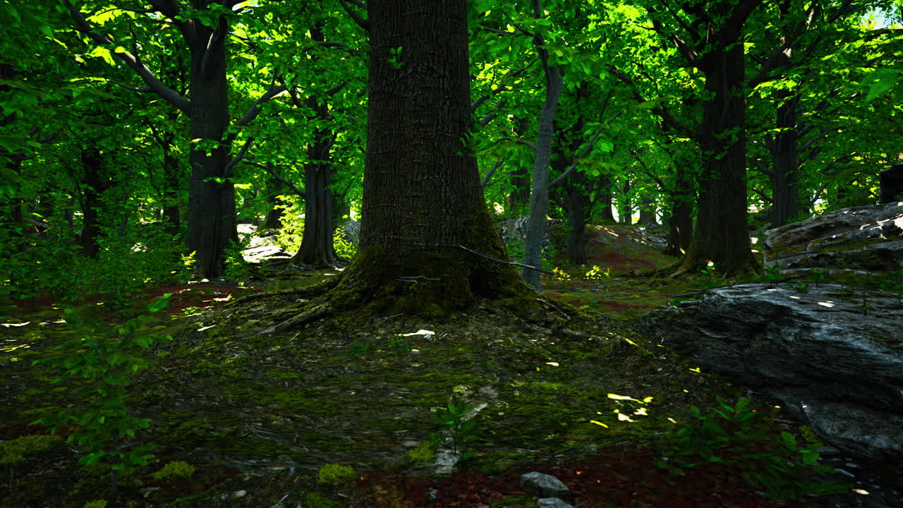 bosque tropical asiático con musgo