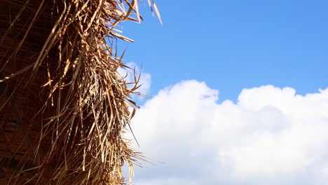 close-up of thatched roof texture with blue sky