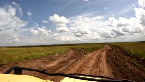 safari en las llanuras de maasai mara a través de un camino de tierra con cielo azul y nubes grandes