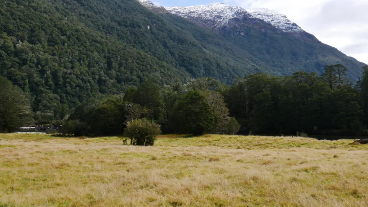 toma panorámica lenta del paisaje de hierba y montañas con vegetación con un pico nevado en el fondo
