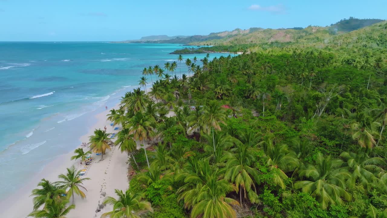 Cinematic drone shot over palm trees at Playa Rincon Beach with Caribbean Sea and mountains in background - Wide shot flight