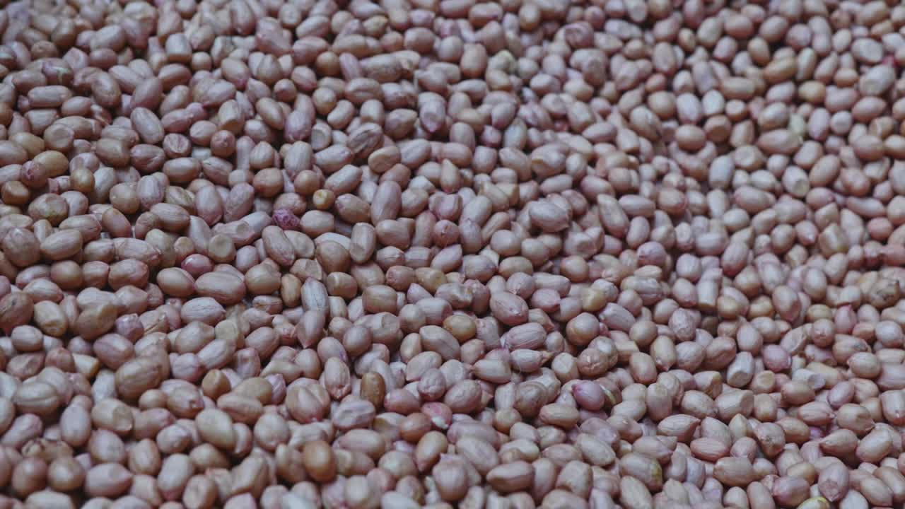 peanuts or groundnuts close up shot, stable shot, 4k.
