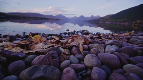 autumn scene and close up of leaves and rocks at lake mcdonald in montana