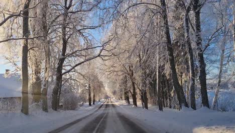 snow covered asphalt roads
