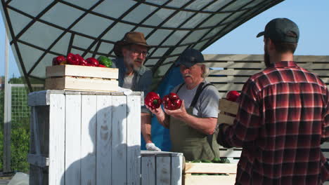 farmers inspecting produce at a market