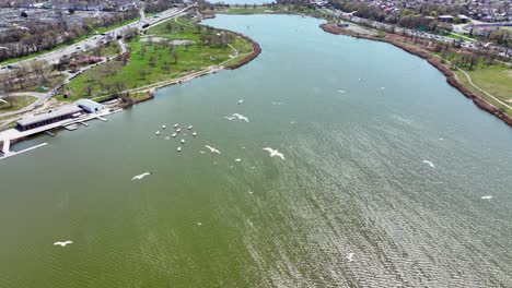 an aerial view high over meadow lake on a beautiful day in queens, ny