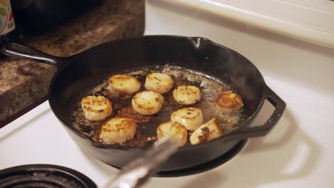 cooking scallops on frying pan, seafood delicacy, person holds inox tweezers, medium shot