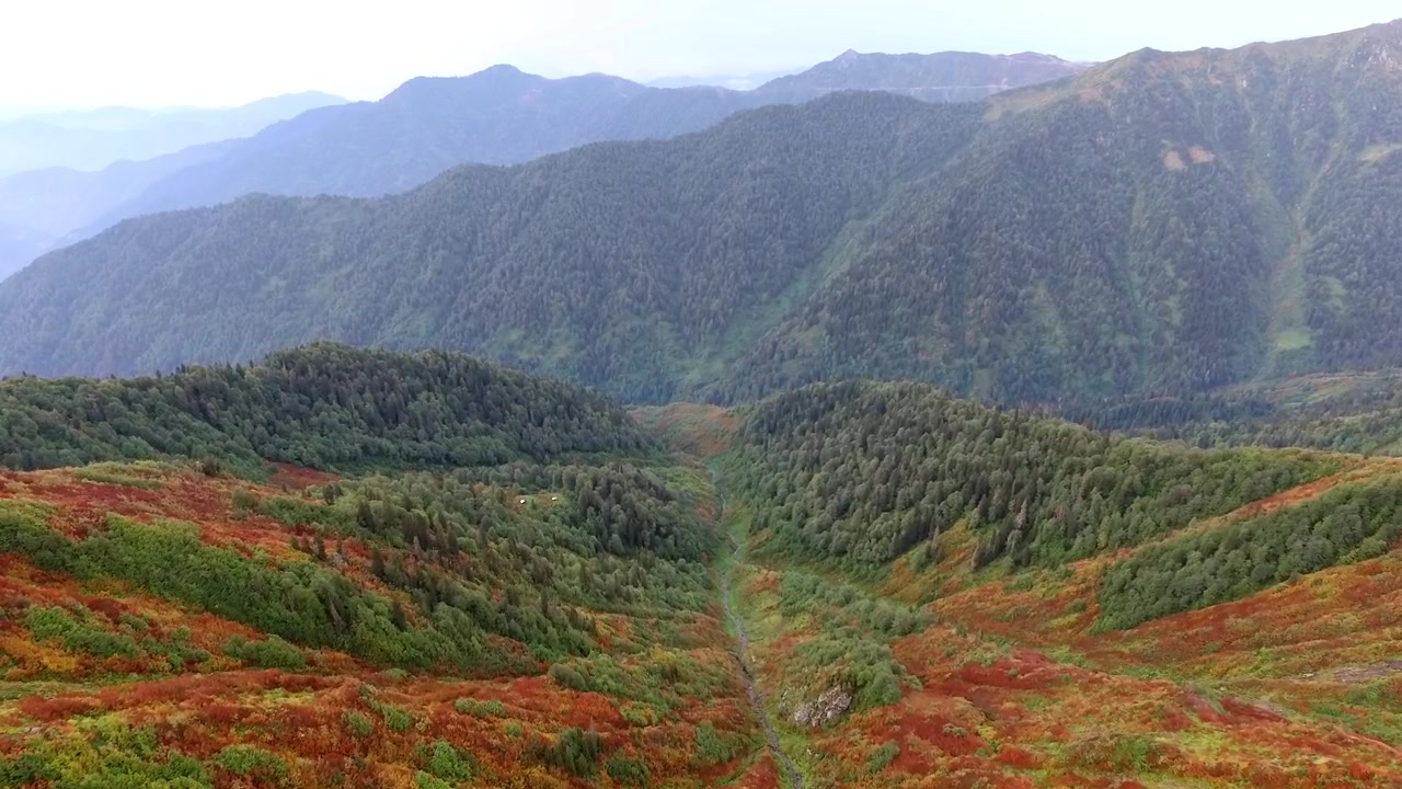 Vista aerea di una lussureggiante valle di montagna in autunno