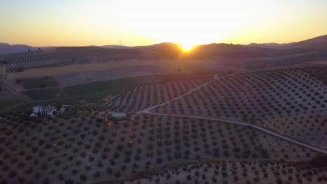 Toma-Aérea-De-Una-Gran-Casa-Blanca-Típica-De-España-Rodeada-De-Campos-De-Olivos-En-Andalucía-Durante-La-Puesta-De-Sol