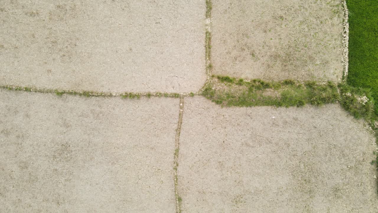 fotografía aérea de arriba hacia abajo de arrozales secos en el sur de asia, severa sequía