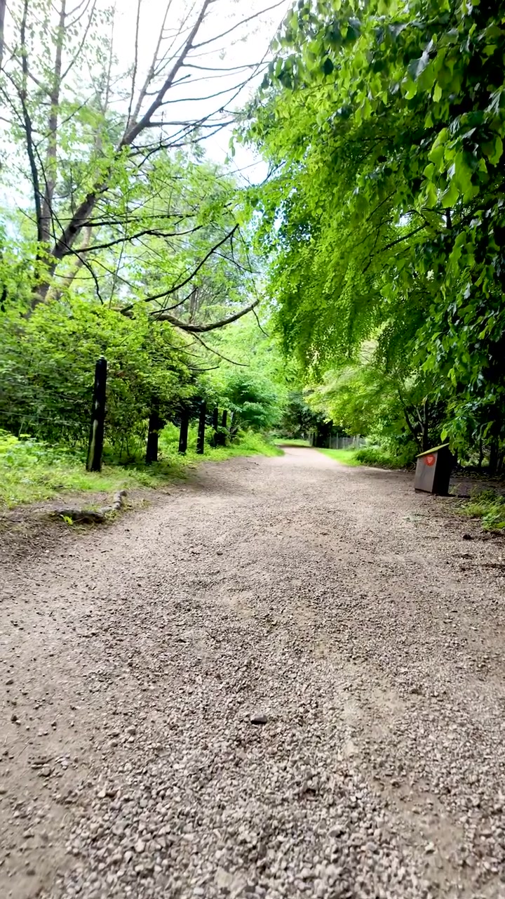 Pov of someone walking along a tranquil gravel path through a lush green summer forest. vertical video