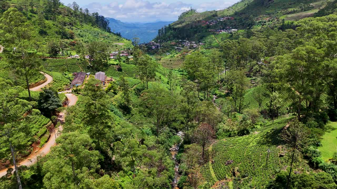 Luchtfoto van een Ceylon theeplantage in Sri Lanka, met een landelijk landschap van weelderige groene velden verspreid over glooiende heuvels