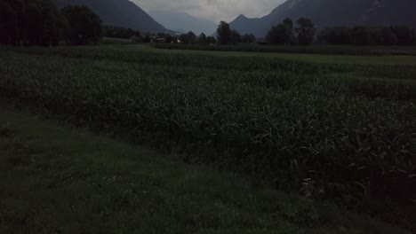 Aerial-view-of-a-farm-field-in-Levico-Terme,-Italy,-with-camera-tilting-down-as-drone-flies-backwards