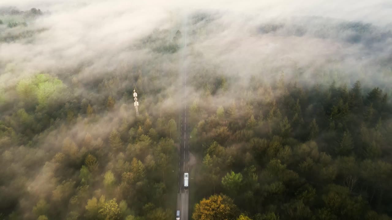 안개 숲 도로 공중 사진