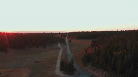 narrow country road through pine forest with autumn foliage, at sunset