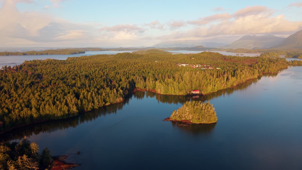 tomada de drone de tofino en la isla de vancouver que muestra colores de otoño, costa escarpada y olas del océano en una vista aérea panorámica.