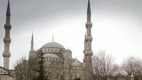 blue mosque pan