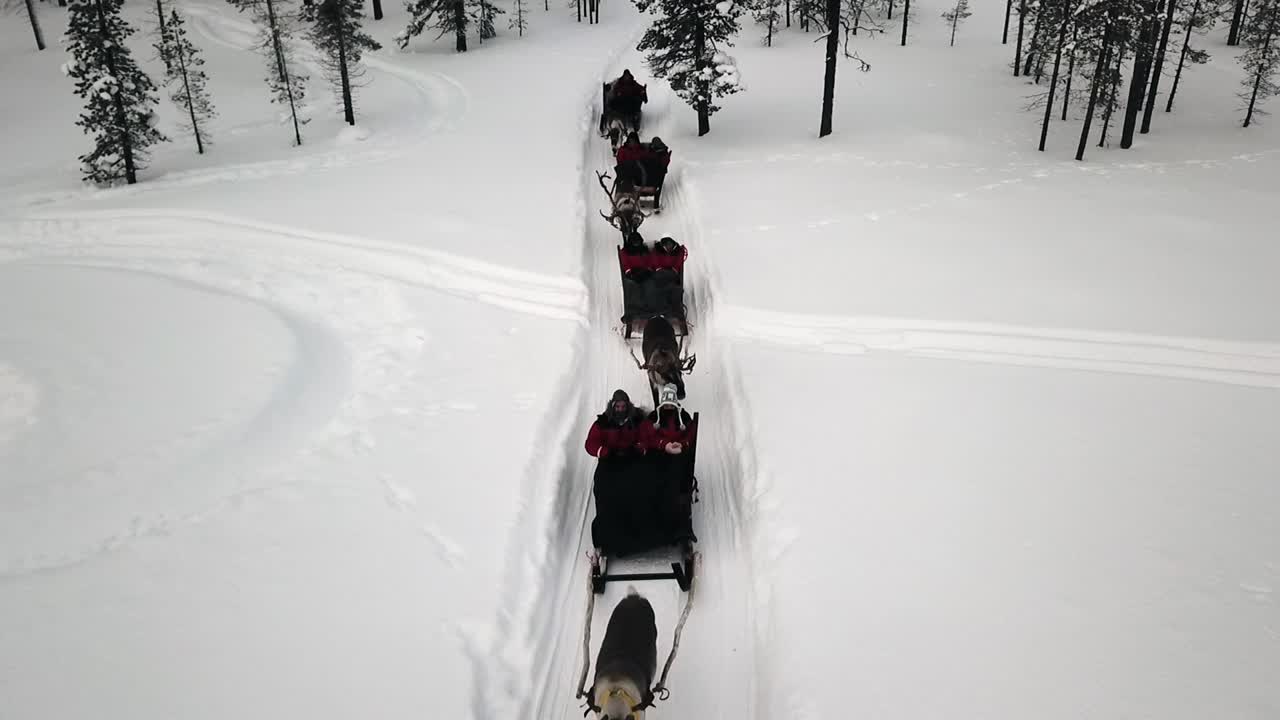 vista de drones de trineo de renos en saariselka, laponia, finlandia