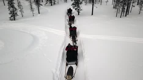 drone view of reindeer sleighride in saariselka, lapland, finland