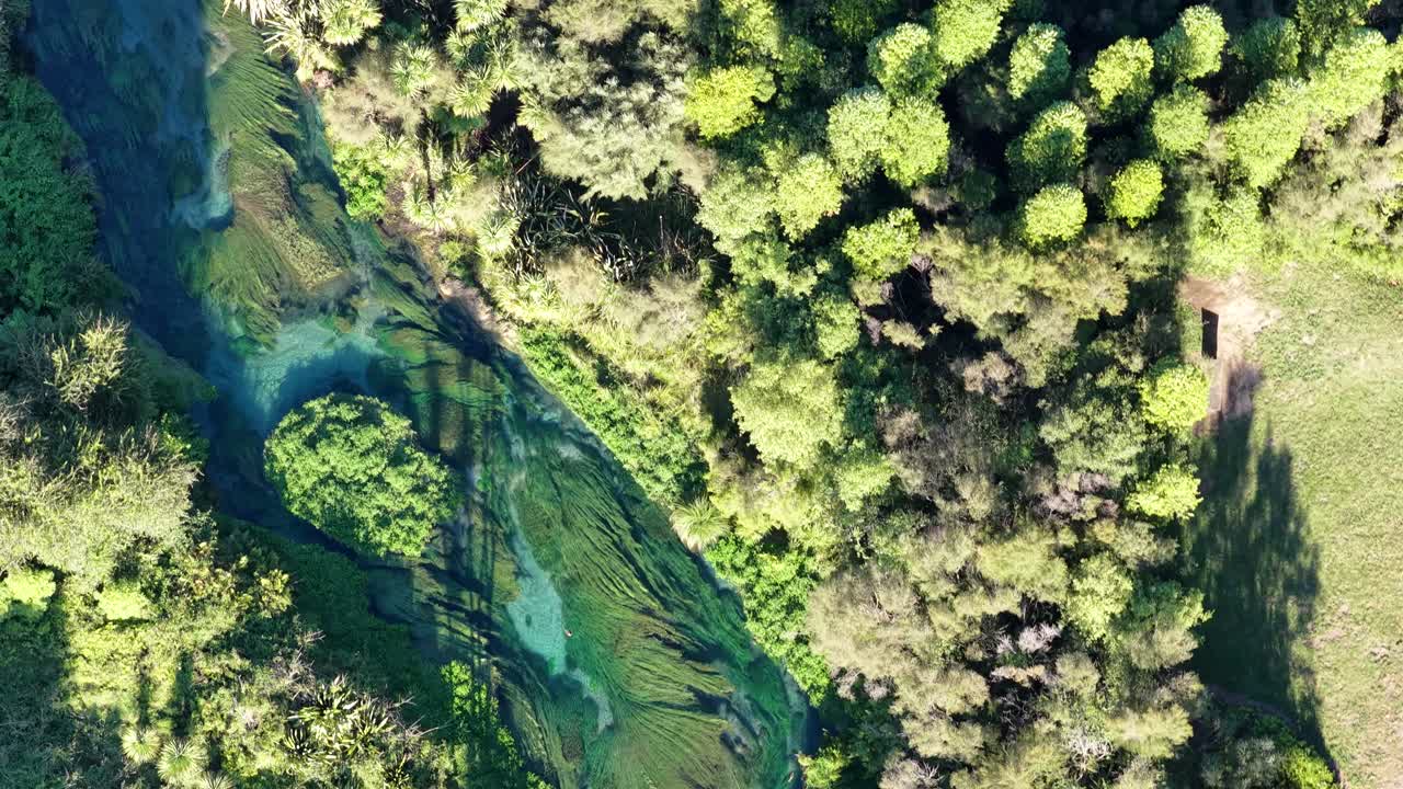 Top down aerial view of clear river flowing through lush vegetation, natural texture background with organic patterns