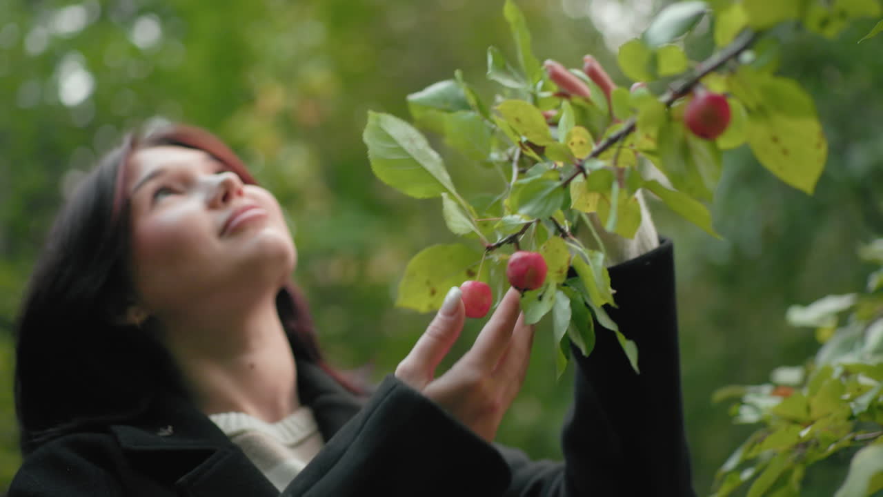 걱정 없는 소녀가 잎이 무성한 가지에 달린 빨간 포도를 만지려고 손을 뻗어 부드러운 미소로 올려다보고 있어요. 흐릿한 숲 보케를 배경으로 과일에 초점이 맞춰져 있으며, 고요한 가을 자연의 순간과 호기심, 평온함이 야외에서 느껴져요.
