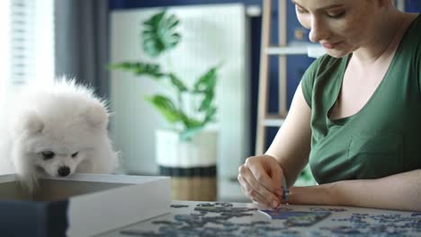 Video-of-young-woman-doing-jigsaw-puzzles-with-pet-dog