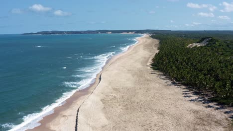 Dolly-in-aerial-drone-shot-of-the-tropical-coastline-of-Rio-Grande-do-Norte,-Brazil-with-a-white-untouched-beach,-blue-ocean-water,-and-palm-trees-in-between-Baia-Formosa-and-Barra-de-Cunha?