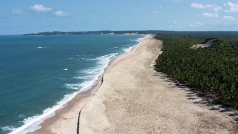 dolly en toma aérea de drones de la costa tropical de río grande do norte, brasil con una playa blanca virgen, agua azul del océano y palmeras entre baia formosa y barra de cunha?