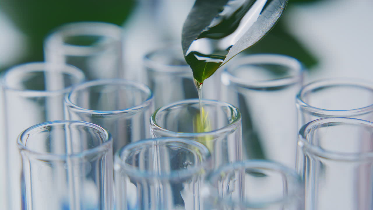 Pouring Drops of Liquid Plant Extract from Leaf into Test Tubes