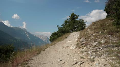 quiet track in the swiss alps during summer