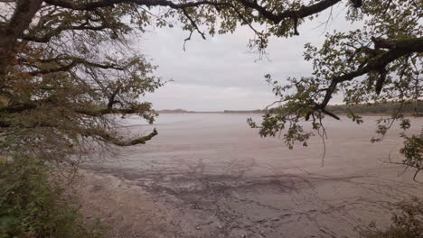 profile view of pond of la mer rouge (the red sea), next to the town of rosnay, france in the region called la brenne.