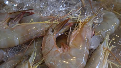 camarón crudo entero en hielo para la venta camarón de río en el mercado de comida callejera asiático