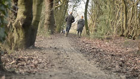 couple walking dog in winter woods