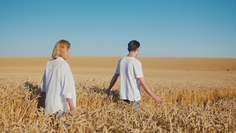 a man and a woman walk through a field of ripe wheat