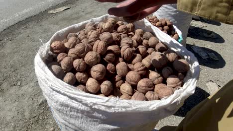 sack of walnuts