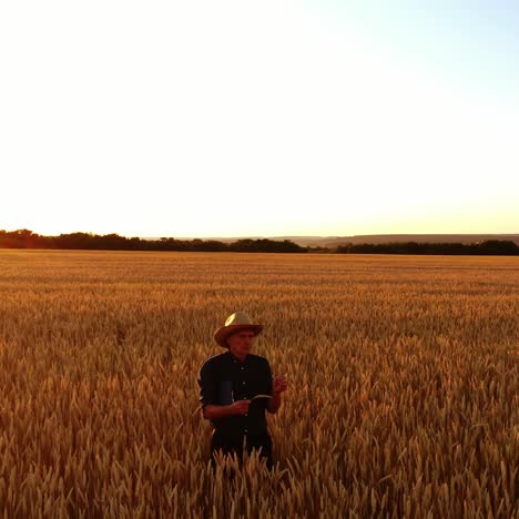agronomist tests wheat on field at sunset. farmer in straw hat walks on golden field on the background of factory in the evening.