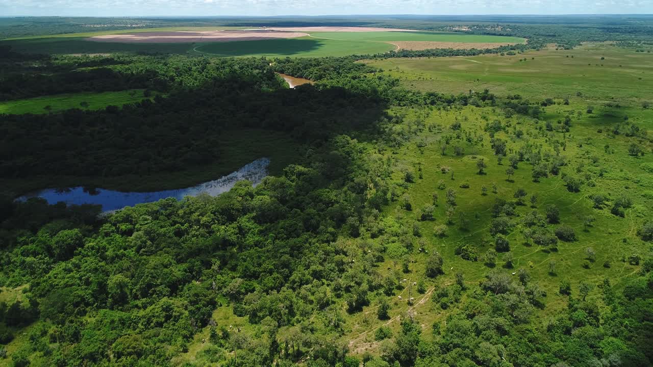 Oxbow lagoon formed from abandoned meander of Caravelas River in Caravelas Bahia Brazil within Atlantic Forest transition zone with wetland vegetation and floodplain dynamics, drone aerial glide shot