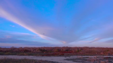 A-wide-angle-of-the-Galapagos-Islands-with-birds-flying-above