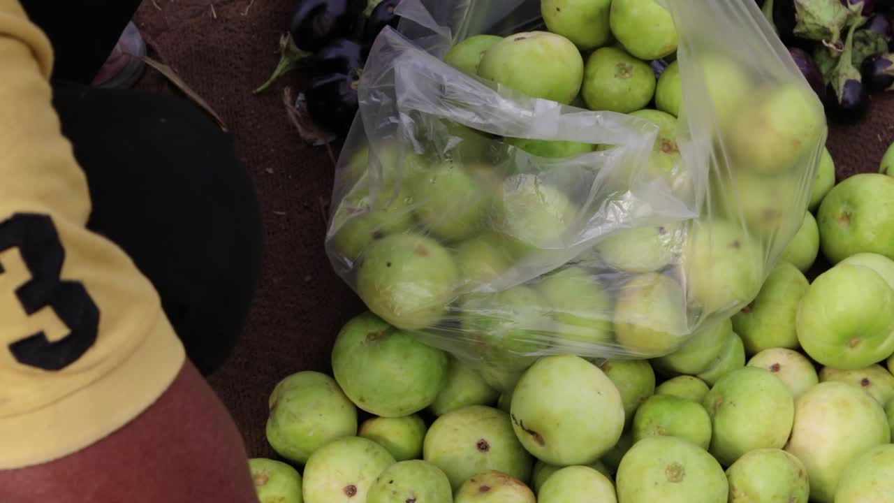 농장의 신선한 유기농 녹색 채소는 다른 각도에서 가깝습니다.