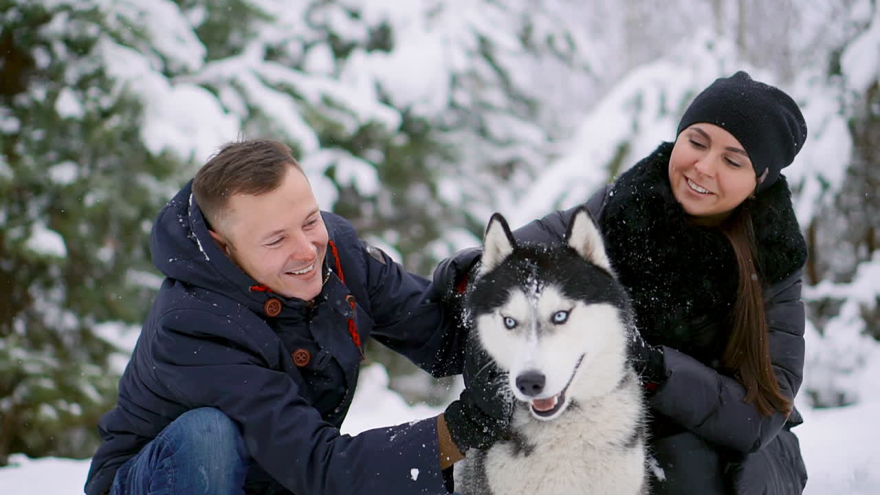 한 남자와 한 여자가 겨울 숲에서 개 시베리안 허스키를 껴안고 앉아 웃고 서로를 바라보며 카메라를 바라보고 있습니다. 느린