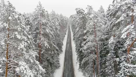 endless country road through snow covered woodland of labanors, aerial view