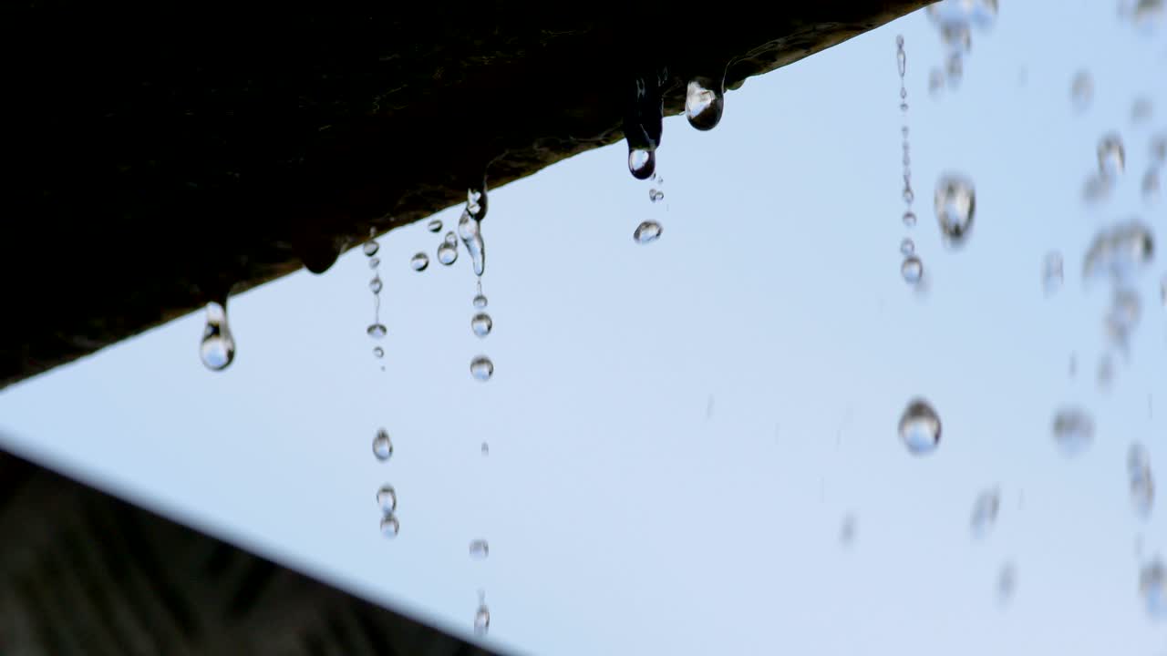 Slow motion: water drop fall from eaves in close up