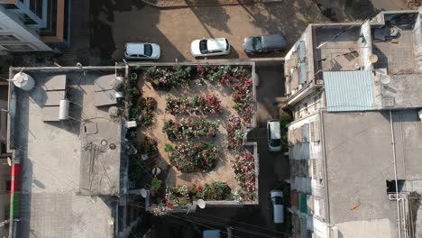 Jardín-De-Rosas-En-El-Techo-|-Imágenes-De-Archivo-Aéreas-|-Expertos-En-Flores-|-Azotea-|-La-India-|-Techo-|-Flores