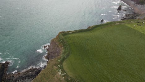 Drone-shot-of-a-sea-cliff-on-the-Irish-coast-with-a-grazing-field-on-top-of-it,-over-looking-beach